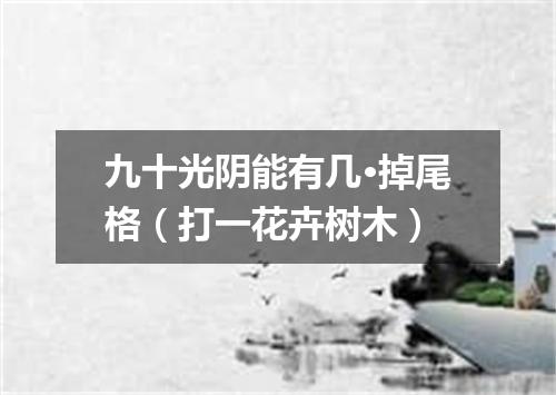 九十光阴能有几·掉尾格（打一花卉树木）