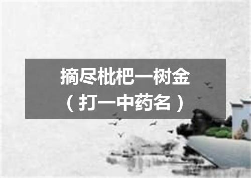 摘尽枇杷一树金（打一中药名）