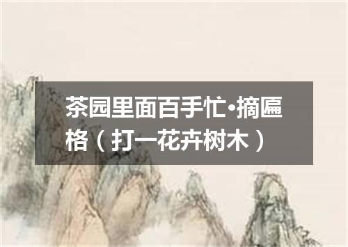 茶园里面百手忙·摘匾格（打一花卉树木）