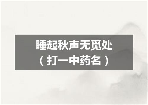 睡起秋声无觅处（打一中药名）