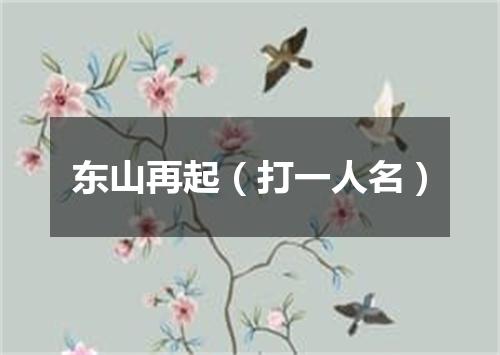 东山再起（打一人名）