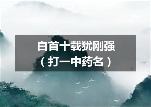 白首十载犹刚强（打一中药名）
