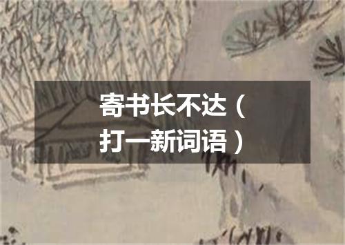 寄书长不达（打一新词语）