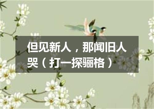 但见新人，那闻旧人哭（打一探骊格）