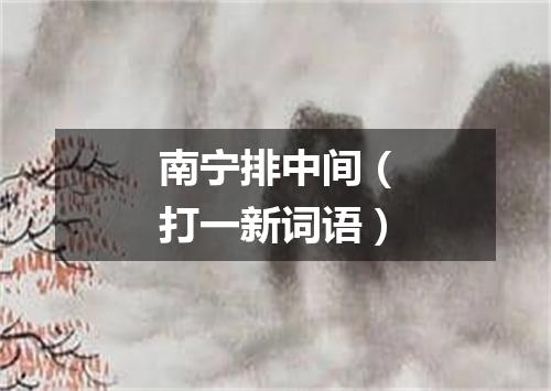 南宁排中间（打一新词语）
