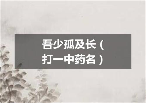 吾少孤及长（打一中药名）