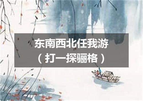 东南西北任我游（打一探骊格）