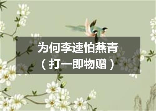 为何李逵怕燕青（打一即物赠）
