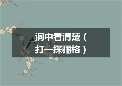 洞中看清楚（打一探骊格）