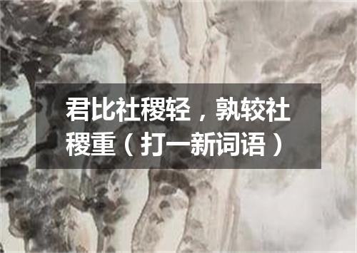 君比社稷轻，孰较社稷重（打一新词语）