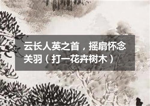 云长人英之首，摇扇怀念关羽（打一花卉树木）