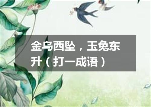 金乌西坠，玉兔东升（打一成语）