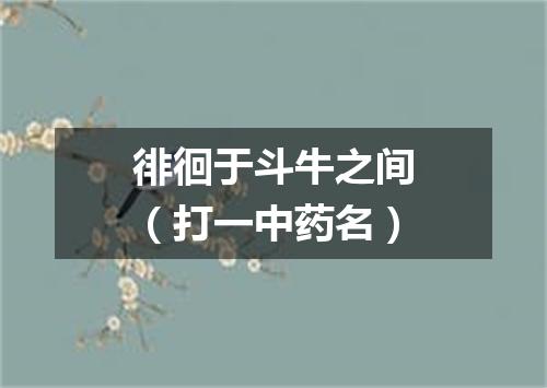 徘徊于斗牛之间（打一中药名）