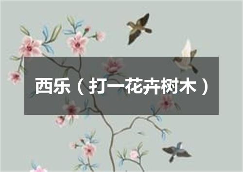 西乐（打一花卉树木）