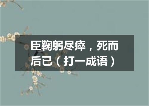 臣鞠躬尽瘁，死而后已（打一成语）