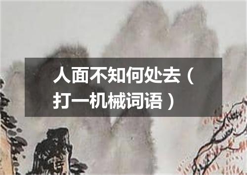 人面不知何处去（打一机械词语）