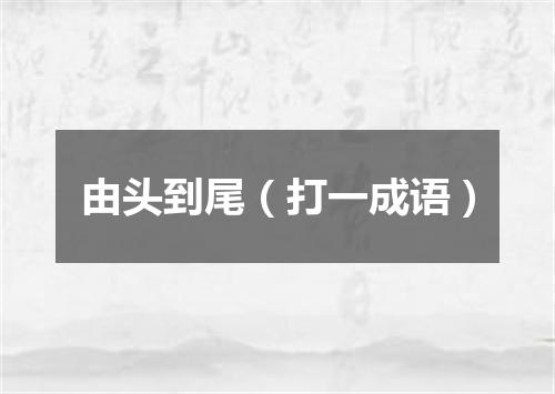 由头到尾（打一成语）