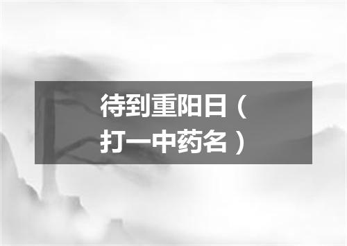 待到重阳日（打一中药名）