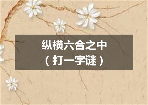 纵横六合之中（打一字谜）
