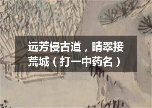 远芳侵古道，晴翠接荒城（打一中药名）