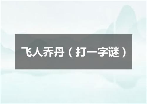 飞人乔丹（打一字谜）