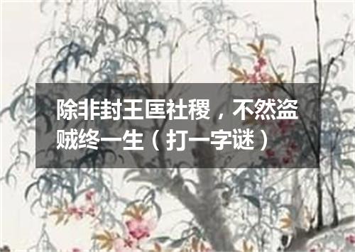 除非封王匡社稷，不然盗贼终一生（打一字谜）