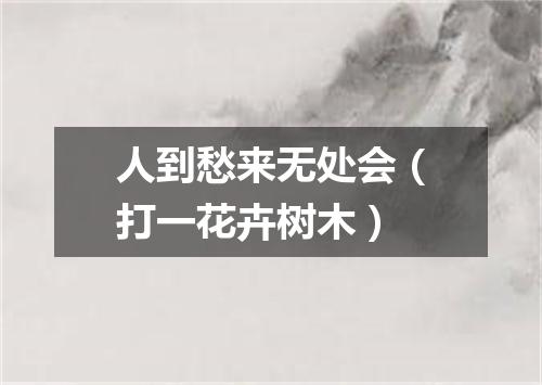 人到愁来无处会（打一花卉树木）