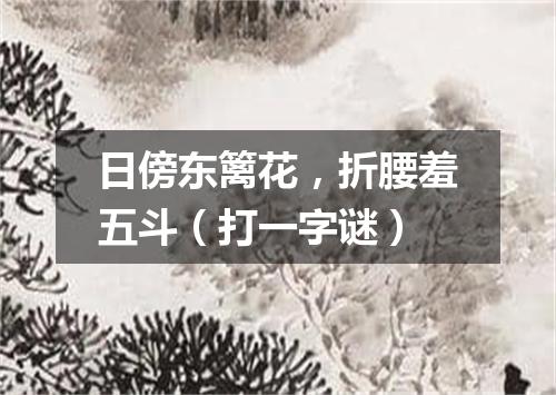 日傍东篱花，折腰羞五斗（打一字谜）