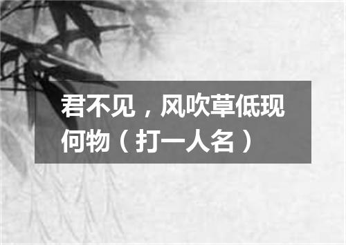 君不见，风吹草低现何物（打一人名）