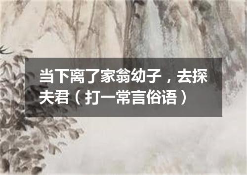 当下离了家翁幼子，去探夫君（打一常言俗语）
