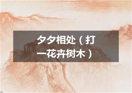 夕夕相处（打一花卉树木）