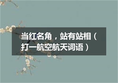 当红名角，站有站相（打一航空航天词语）