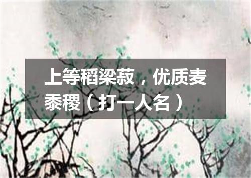 上等稻梁菽，优质麦黍稷（打一人名）