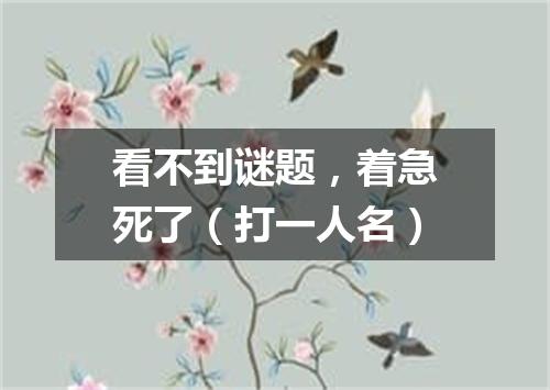 看不到谜题，着急死了（打一人名）