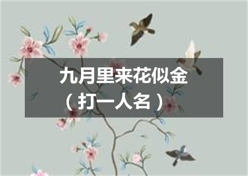 九月里来花似金（打一人名）