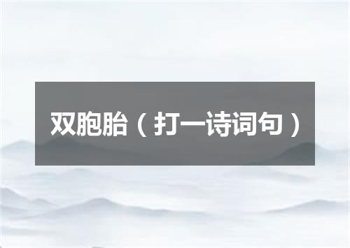 双胞胎（打一诗词句）