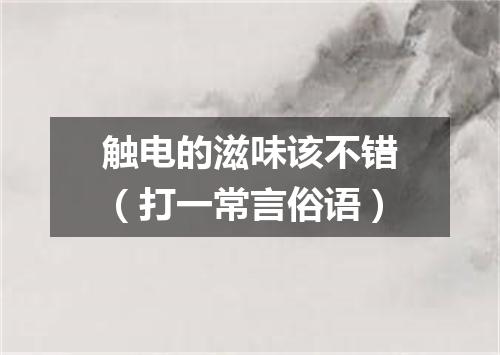 触电的滋味该不错（打一常言俗语）