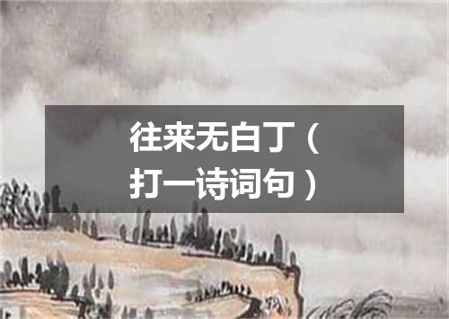 往来无白丁（打一诗词句）