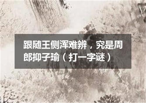 跟随王侧浑难辨，究是周郎抑子瑜（打一字谜）