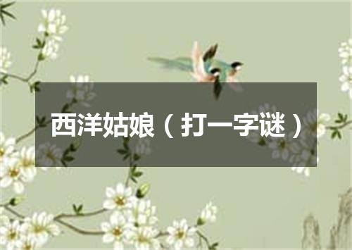 西洋姑娘（打一字谜）