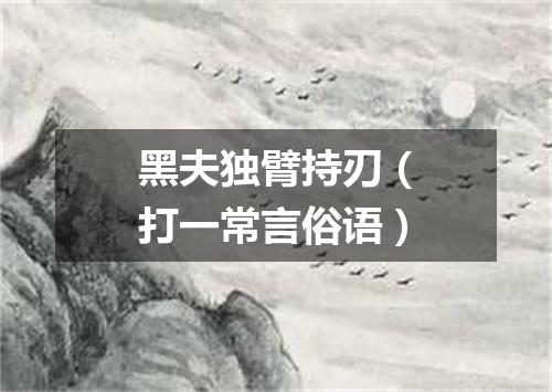 黑夫独臂持刃（打一常言俗语）