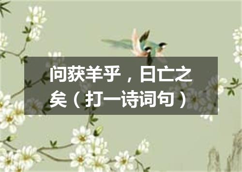 问获羊乎，曰亡之矣（打一诗词句）