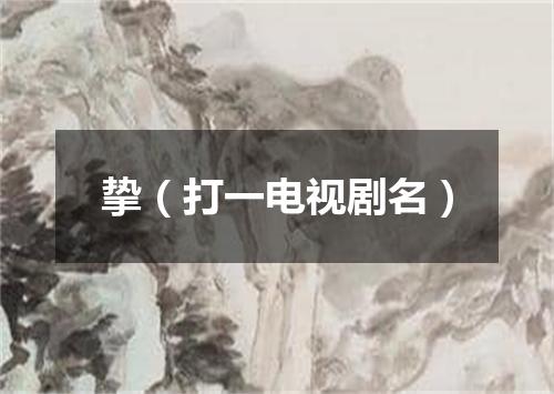 挚（打一电视剧名）