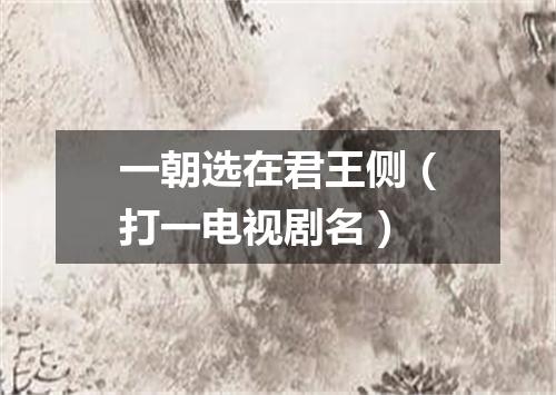 一朝选在君王侧（打一电视剧名）
