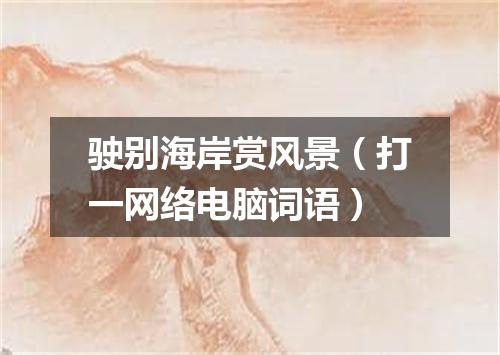 驶别海岸赏风景（打一网络电脑词语）