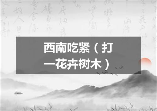 西南吃紧（打一花卉树木）