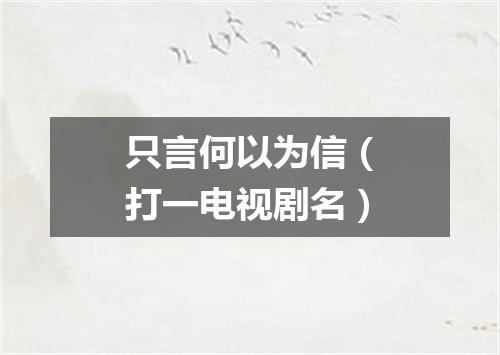 只言何以为信（打一电视剧名）