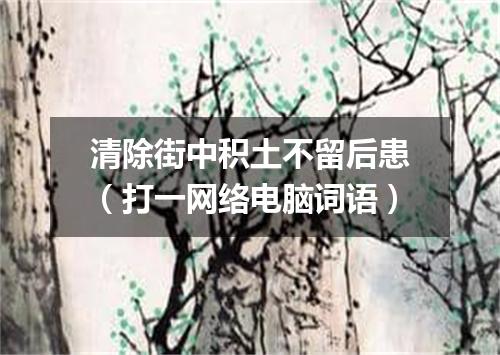 清除街中积土不留后患（打一网络电脑词语）