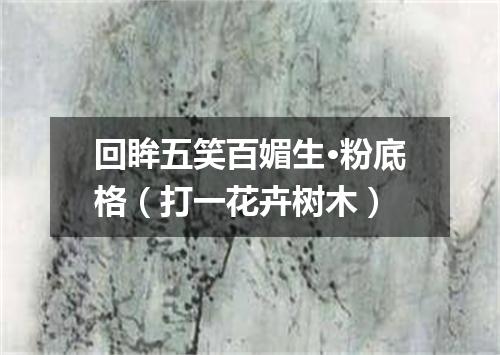回眸五笑百媚生·粉底格（打一花卉树木）