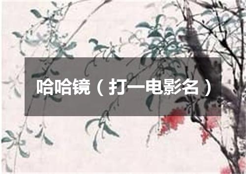 哈哈镜（打一电影名）